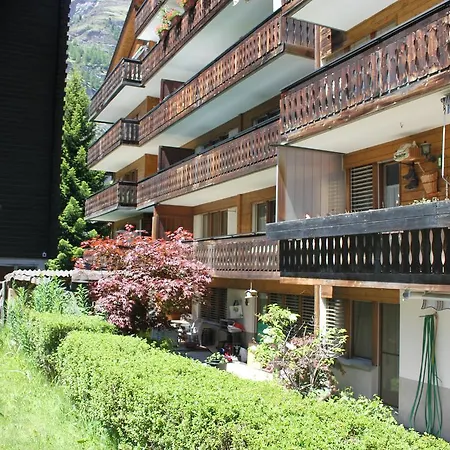 Apartman Steinmatte *